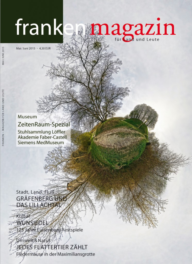 Unser Titelbild zeigt die Casteller Gerichtslinde