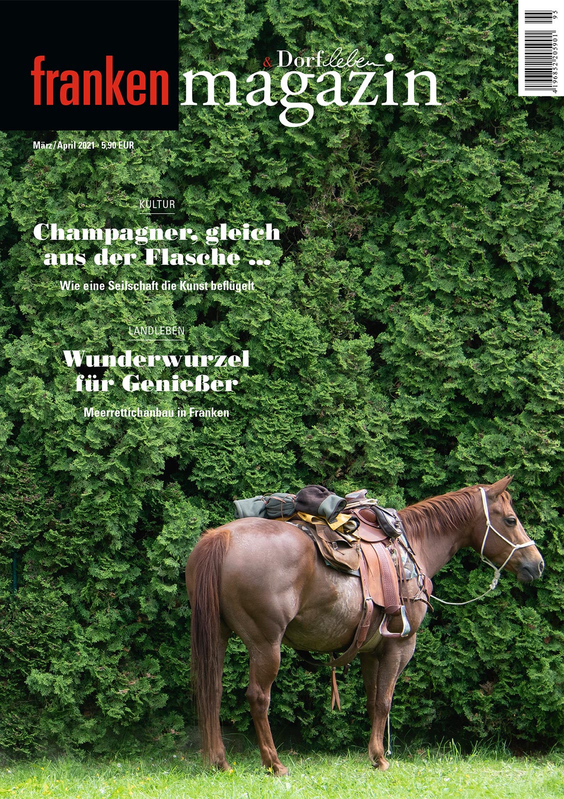 Franken-Magazin - Ausgabe 03/04 2021