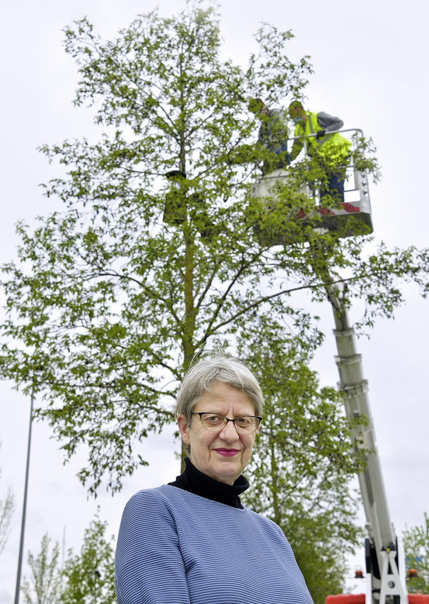 Dr. Susanne Böll, Projektleiterin „Stadtgrün 2021“