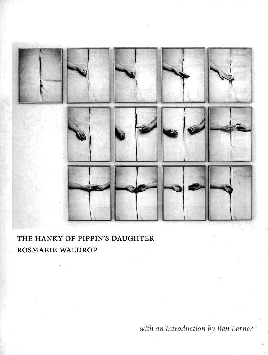 Buchcover der amerikanischen Ausgabe von Rosmarie Waldrops Roman