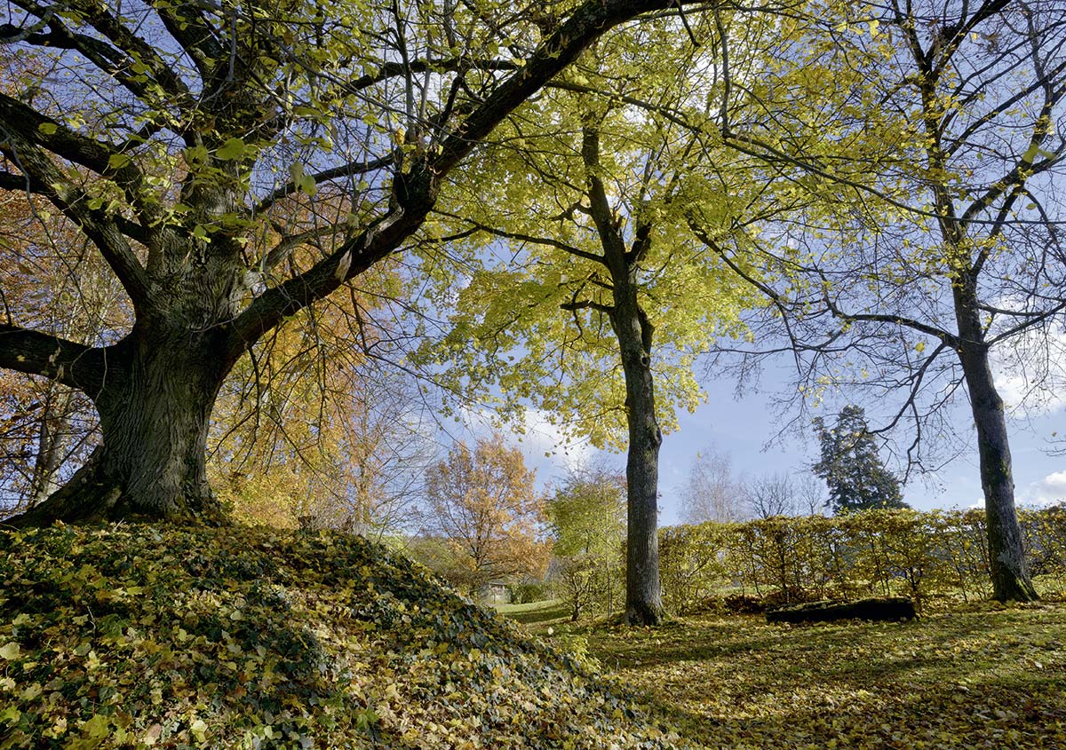 Der Schloßpark ist nicht riesig, aber auf jeden Fall einen Spaziergang wert.