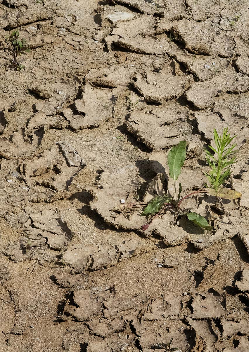 Initiative „Wasser am Limit“