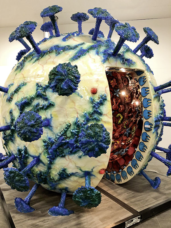 Corona-Virus, begehbares Modell