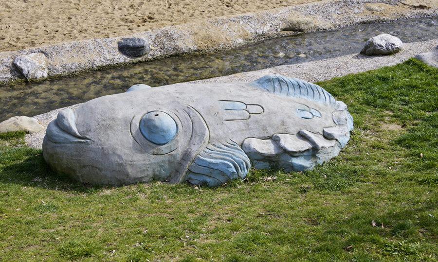 Daß wir alle von Fischen abstammen Daß wir alle von Fischen abstammen