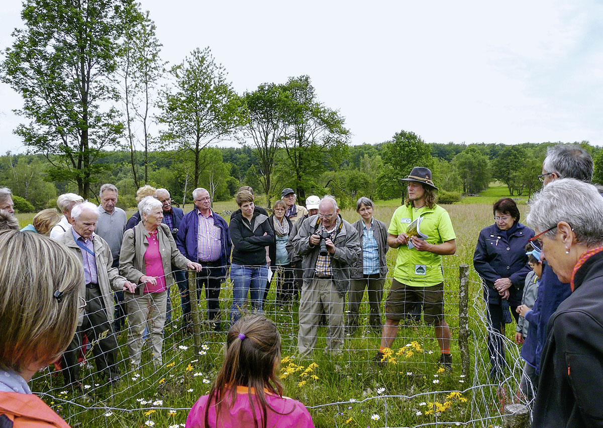 Öffentlichkeitsarbeit gehört zur Artenschutzarbeit unbedingt dazu. Christian Salomon, Gebietsbetreuer für Grünland im Naturpark Spessart, begeistert Menschen für die sehr seltene Heilpflanze Arnika.