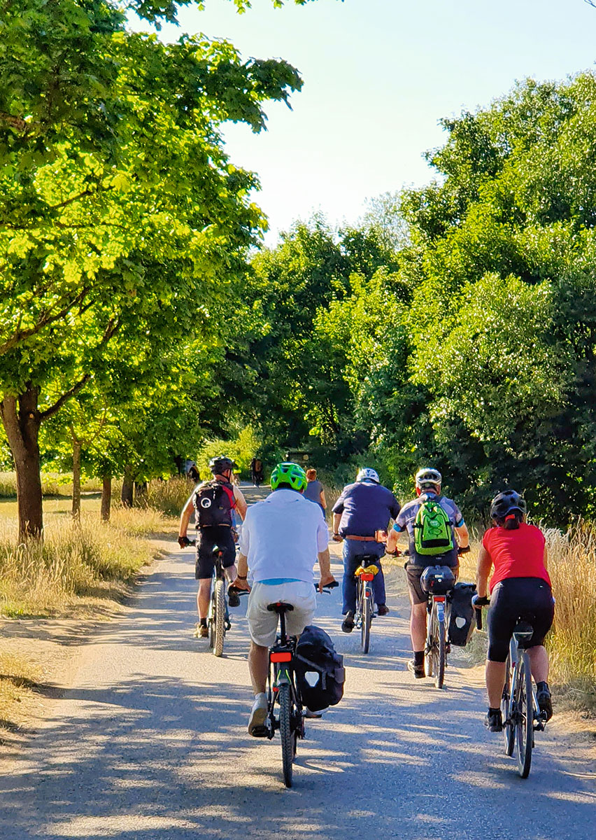 Die Genusslandschaft Bamberg ist eine Radregion. Am besten erkunden Sie sie auch mit dem Fahrrad.