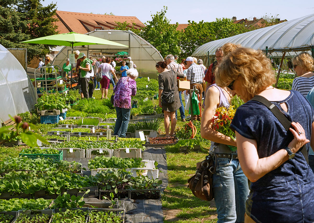 Die Gartenstadt Bamberg mit ihren Gärtnereien direkt in der Stadt sind Teil des Weltkulturerbes Bamberg.