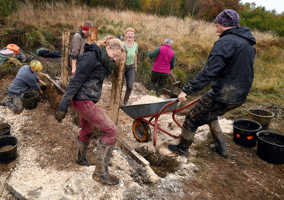 Moorschutz mit Mehrwert