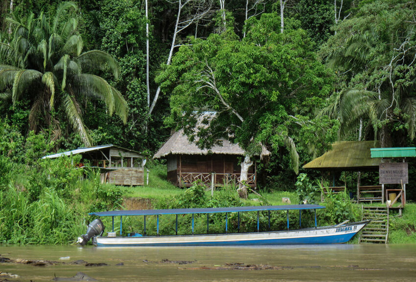 Die Studie zur Kältewelle fand rund um die Forschungsstation „Los Amigos“ im peruanischen Amazonas-Tiefland statt. Man erreicht die Station nach einer 14stündigen Bootsfahrt auf dem Fluß Madre de Dios. Die Studie zur Kältewelle fand rund um die Forschungsstation „Los Amigos“ im peruanischen Amazonas-Tiefland statt. Man erreicht die Station nach einer 14stündigen Bootsfahrt auf dem Fluß Madre de Dios.