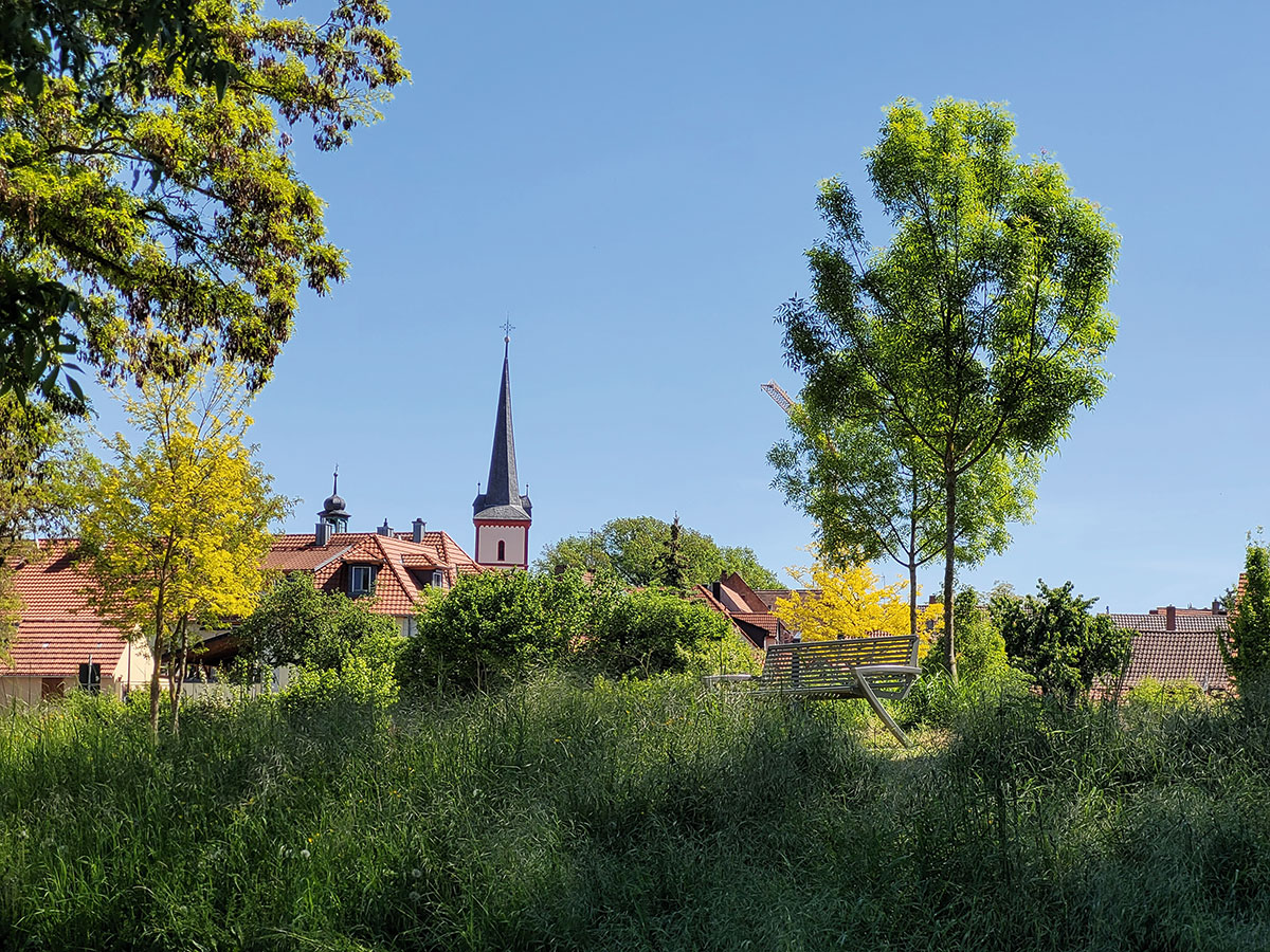 Die sukzessive umgestalteten Mainauen eröffnen als Park neuen Zugang zum Main, der Natur, Erholung und Fitnessaktivitäten.
