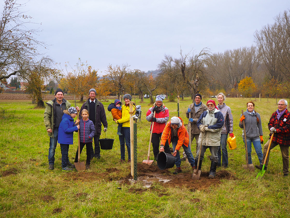 Verjüngung mit alten Sorten – Winterhausens Streuobstretter von der Ortsgruppe des Bund Naturschutz