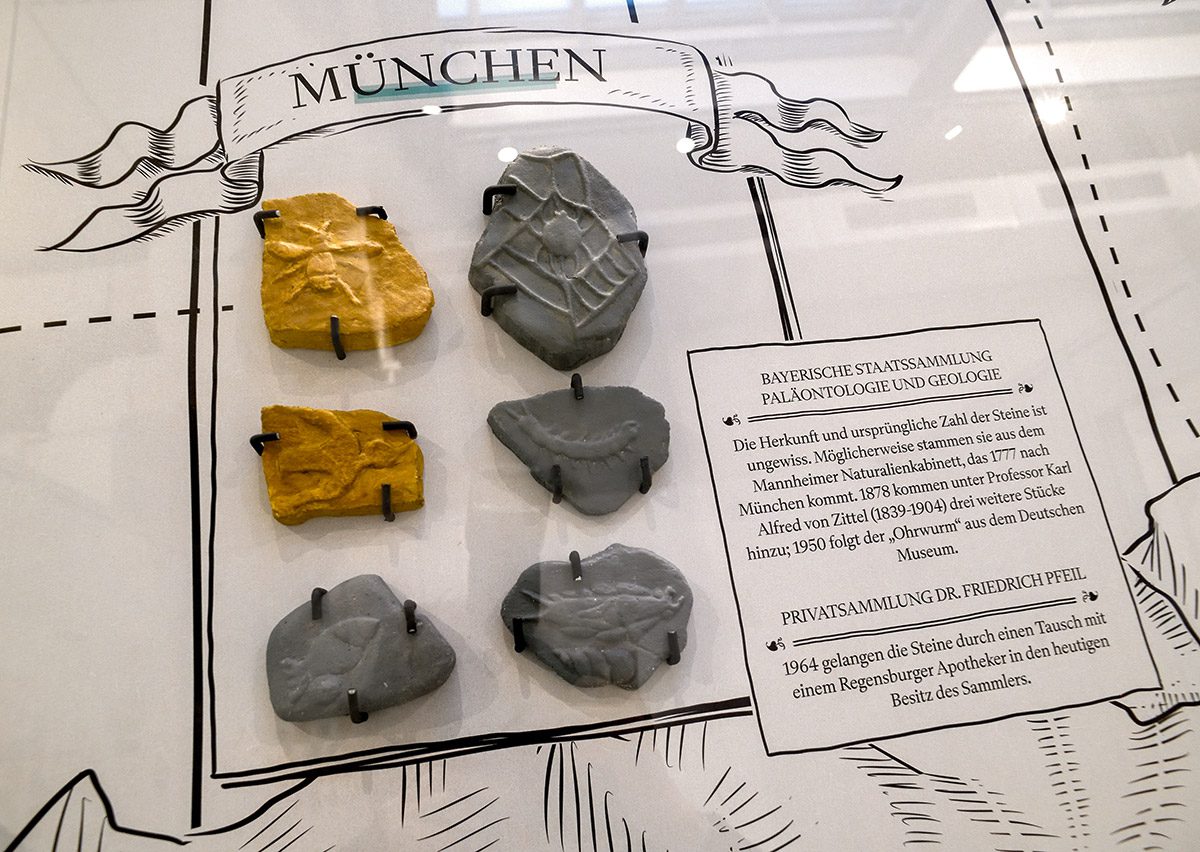 Beinahe weltweit werden die Würzburger Lügensteine in Museen präsentiert.