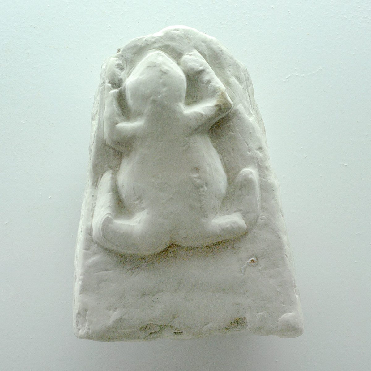 GeFAKEte Fälschungen? Frosch