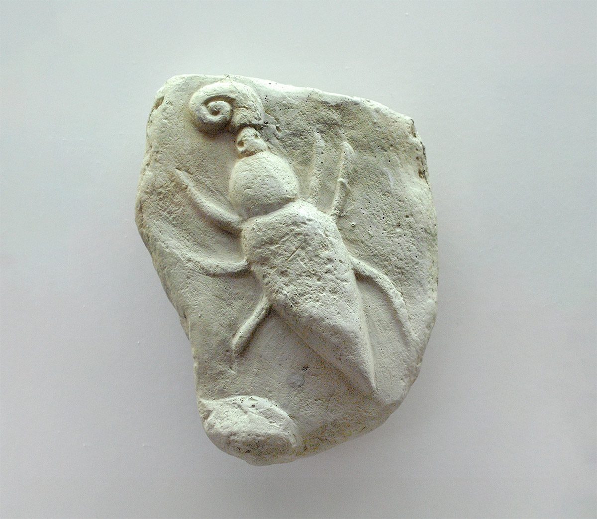 GeFAKEte Fälschungen? Käfer und Schnecke