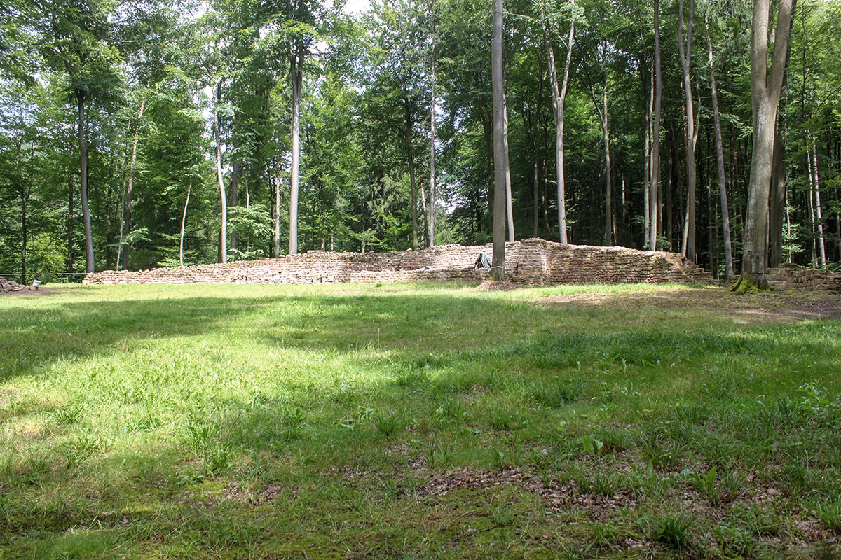 Vom Waldstück zum Monument: Das „Alte Schloss“ bei Kleinwallstadt nach Freilegung und Sanierung der Reste der Umfassungsmauer.