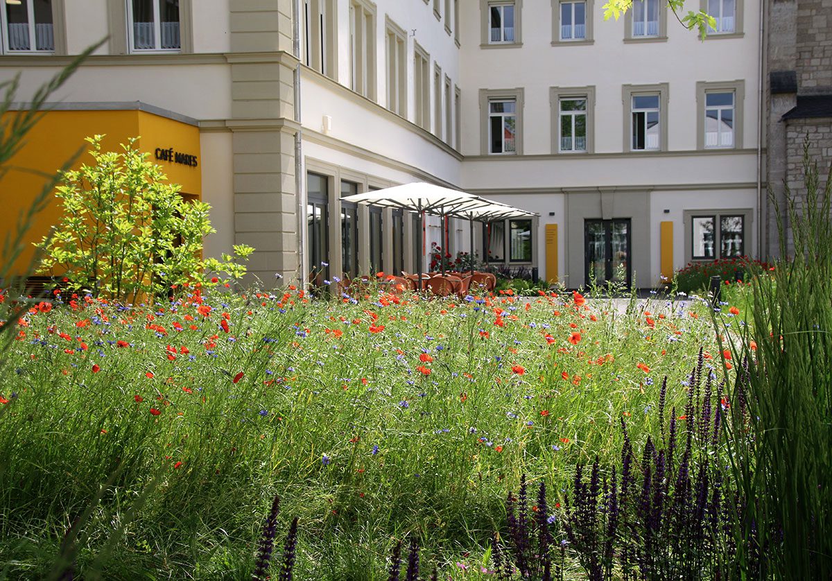 Die früheren Parkplätze sind verschwunden; dafür wurden Grün und Blühflächen angelegt.
