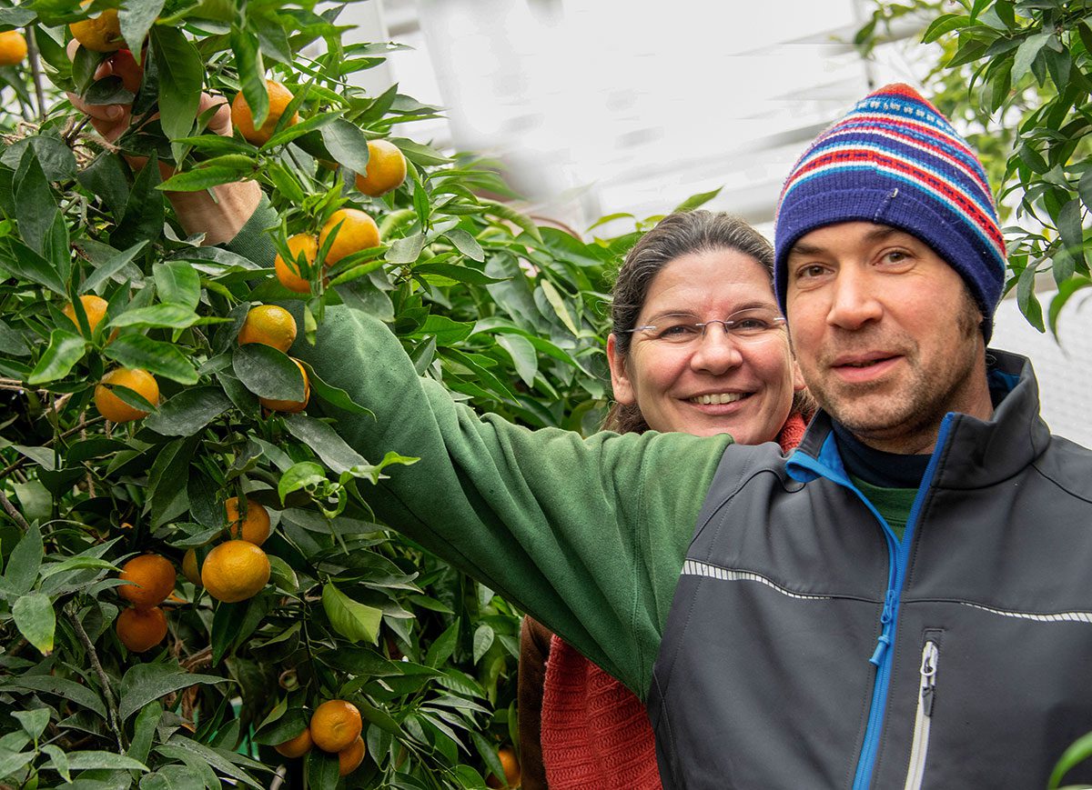 Glücklich und stolz auf ihren Ernteerfolg: Simone und Florian Hagn zwischen reifen Clementinen.